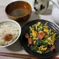 260307朝ごはん|mioさん