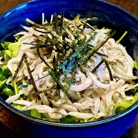 今日の丼好きランチは酢飯170gで                        「しらす丼」|mottoさん