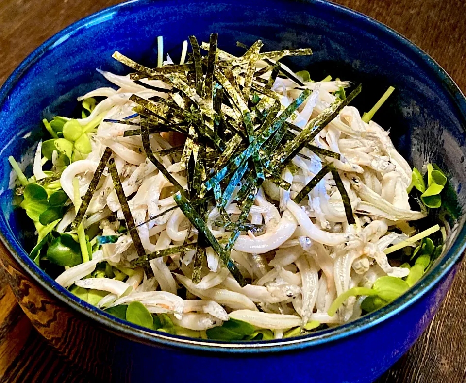 今日の丼好きランチは酢飯170gで                        「しらす丼」|mottoさん
