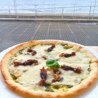 ホタルイカミュージアムでホタルイカピザ|さくらんぼさん