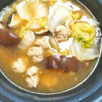 ネギしょうが入り肉だんごの煮込み|samutanさん