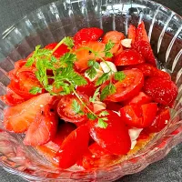 いちご🍓とトマト🍅のカプレーゼ| 富士子🍒🐰🍓さん