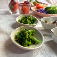 菜の花| かっちゃん杉さん