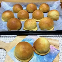 ライトブルー桜2026|marichさん