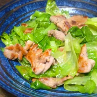 ライトブルー桜2026💙パパ作🥸豚レタス