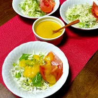 塩糀で！簡単マンゴードレッシング|ひだまり農園さん