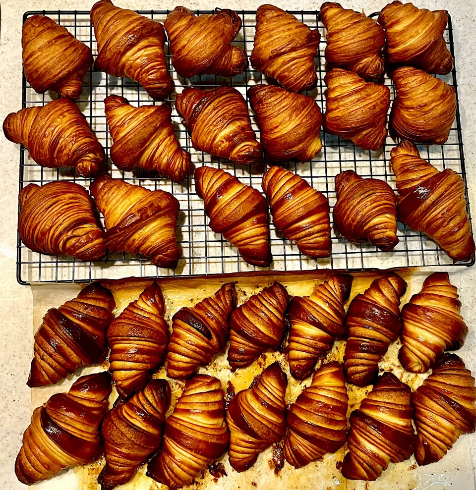 クロワッサン🥐|ユキちゃんさん