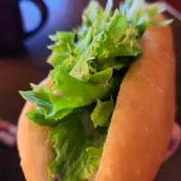 レタスのみサンド🥬|みどりさん