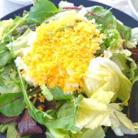 ミモザサラダ| あゆみ│ハレシピさん