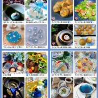 ライトブルー桜2026参加お礼💙次回は4/2|らぴすらずり(らぴ @lapi_mama)さん