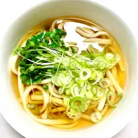 udon noodles topped with spring onion and daikon radish microgreens|gonbenさん