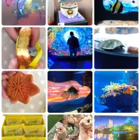 もとまち水族館一部分と生カスタードもみじ🍁