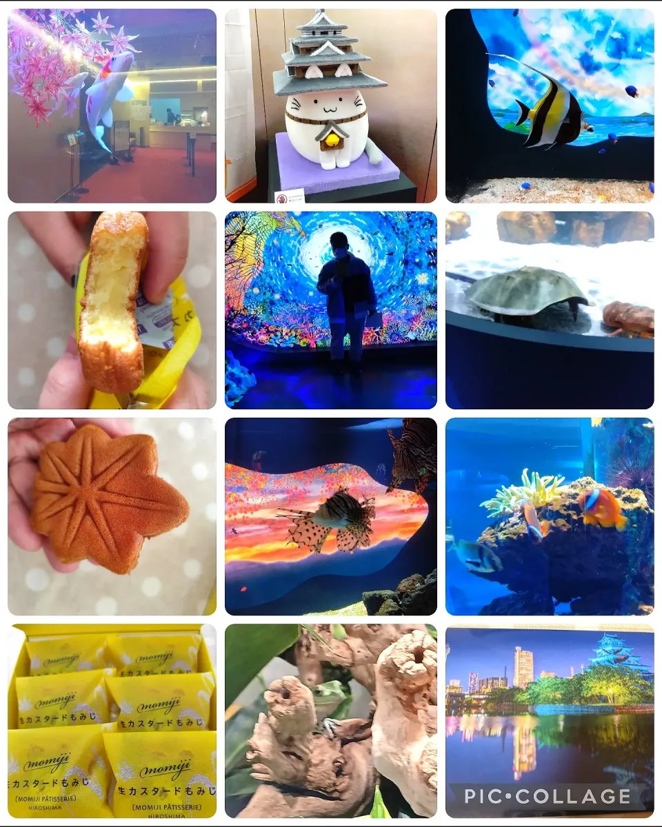 もとまち水族館一部分と生カスタードもみじ🍁|m.rafuさん