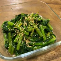 収穫してすぐの小松菜|Riccaさん