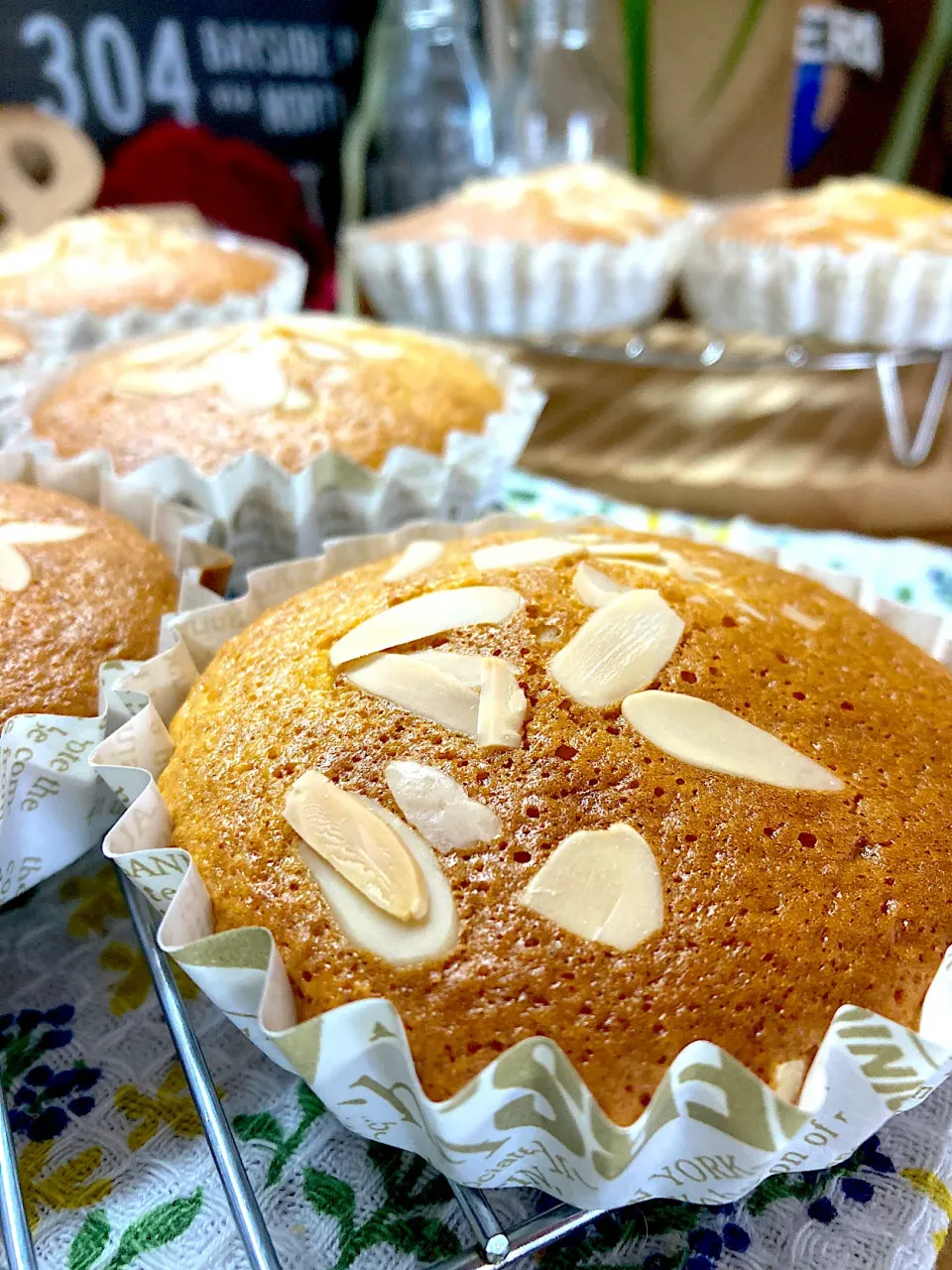 マドレーヌ|真珠きょうだいママさん