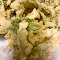 摘みたてふきのとうの天ぷら|masaさん