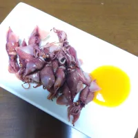 ホタルイカ|mamedaifukuさん