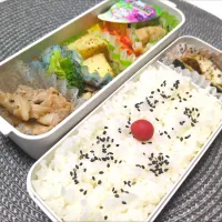 今日のお弁当
