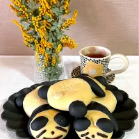 パンダさん🐼🐾