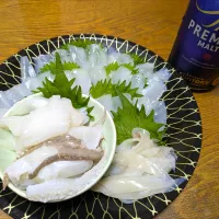 コウイカのお刺身|macoZyさん