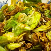 春キャベツでホイ！回鍋肉|須佐浩幸さん