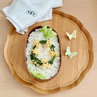 成功？失敗？ミモザ弁当