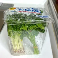 パセリを保存|かっちゃん杉さん