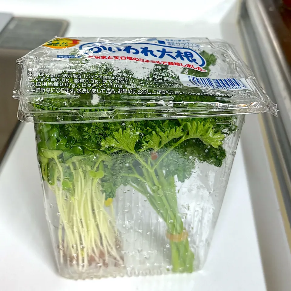 パセリを保存|かっちゃん杉さん