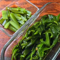 生めかぶ|aoiさん