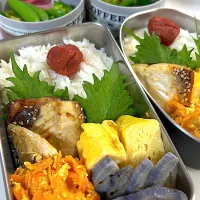 鯖の塩焼き　だし巻き玉子　人参しりしり🥕レンコンのトリュフソルト焼き　ブロッコリー🥦スナップエンドウ🫛紫玉ねぎマリネ🟣|まゆさん