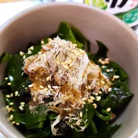 🔷旬の生わかめ🔷|@きなこさん