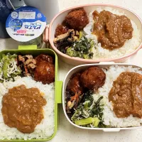 今日のお仕事弁当♪2026.3.11|ぐぅさん