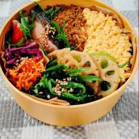 ✾そぼろ弁当✾