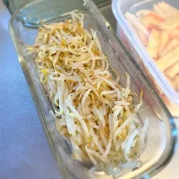 もやしの梅昆布茶ナムル|morimi32さん