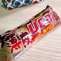 🔷薄皮シリーズとトーラクプリン🍮🔷|@きなこさん