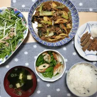 🌛*゜サバ味噌とコマツナちくわ / サヤエンドウちくわのごま和え / じゃこ天 / 水菜ツナサラダ / お吸い物|Ayakaさん
