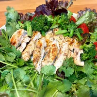 鶏ささみ肉のソテー|じゅんさんさん