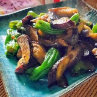 にゃんぺこさんの料理 茄子と獅子唐の鍋しぎ