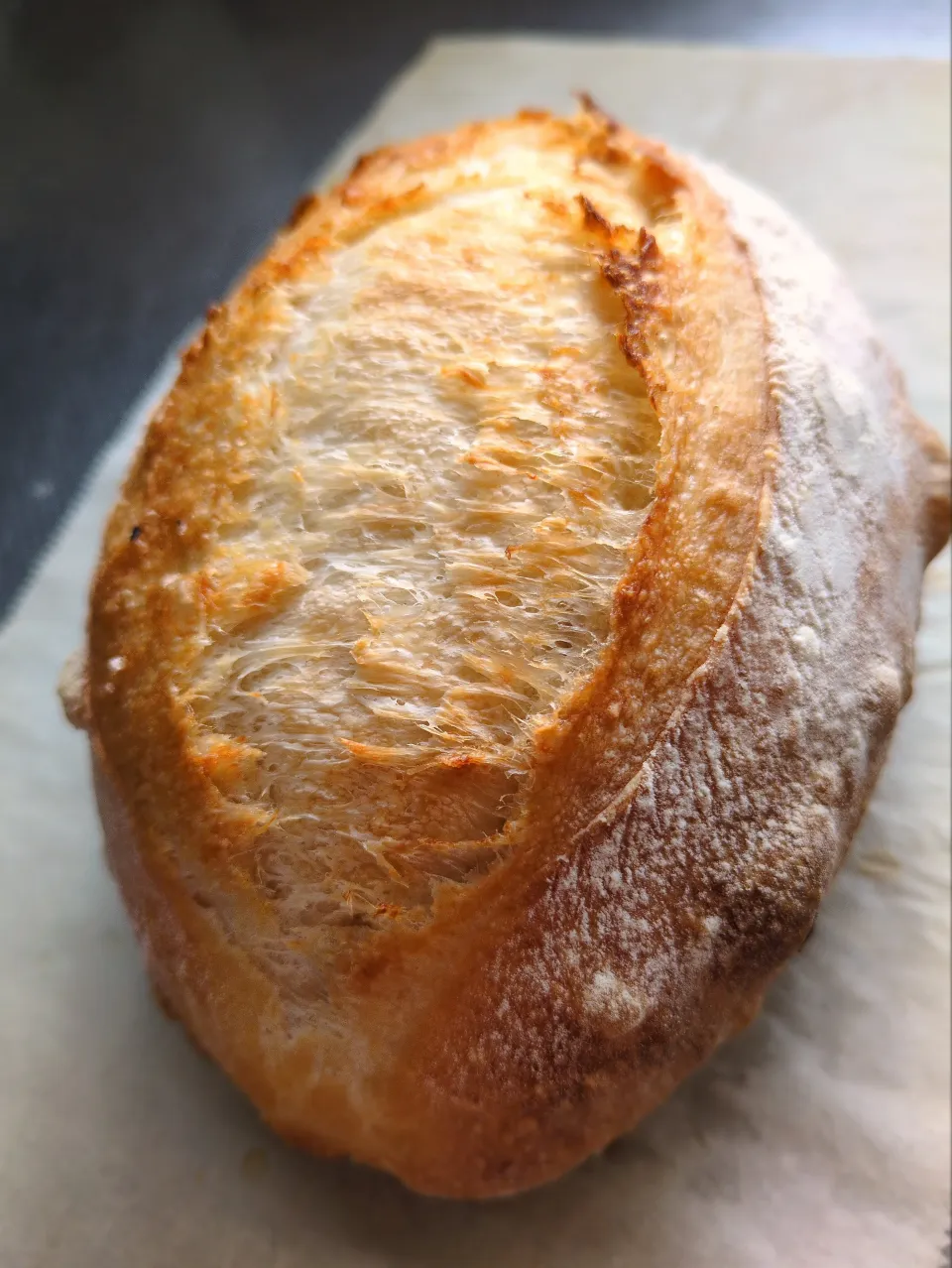 ソフトフランス|後藤妙子さん