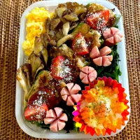 🫑ピーマン肉詰め弁当🫑|ヘルペイさん