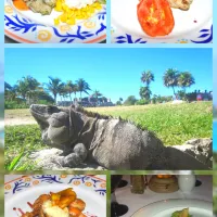 🇲🇽🌮🌊MY TRAVEL IN MEXICO🌞🌴🇲🇽
               Fish seafood shark steak
