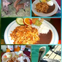 🇲🇽🌮🌊MY TRAVEL IN MEXICO🌞🌴🇲🇽
                         Chicken Tacos