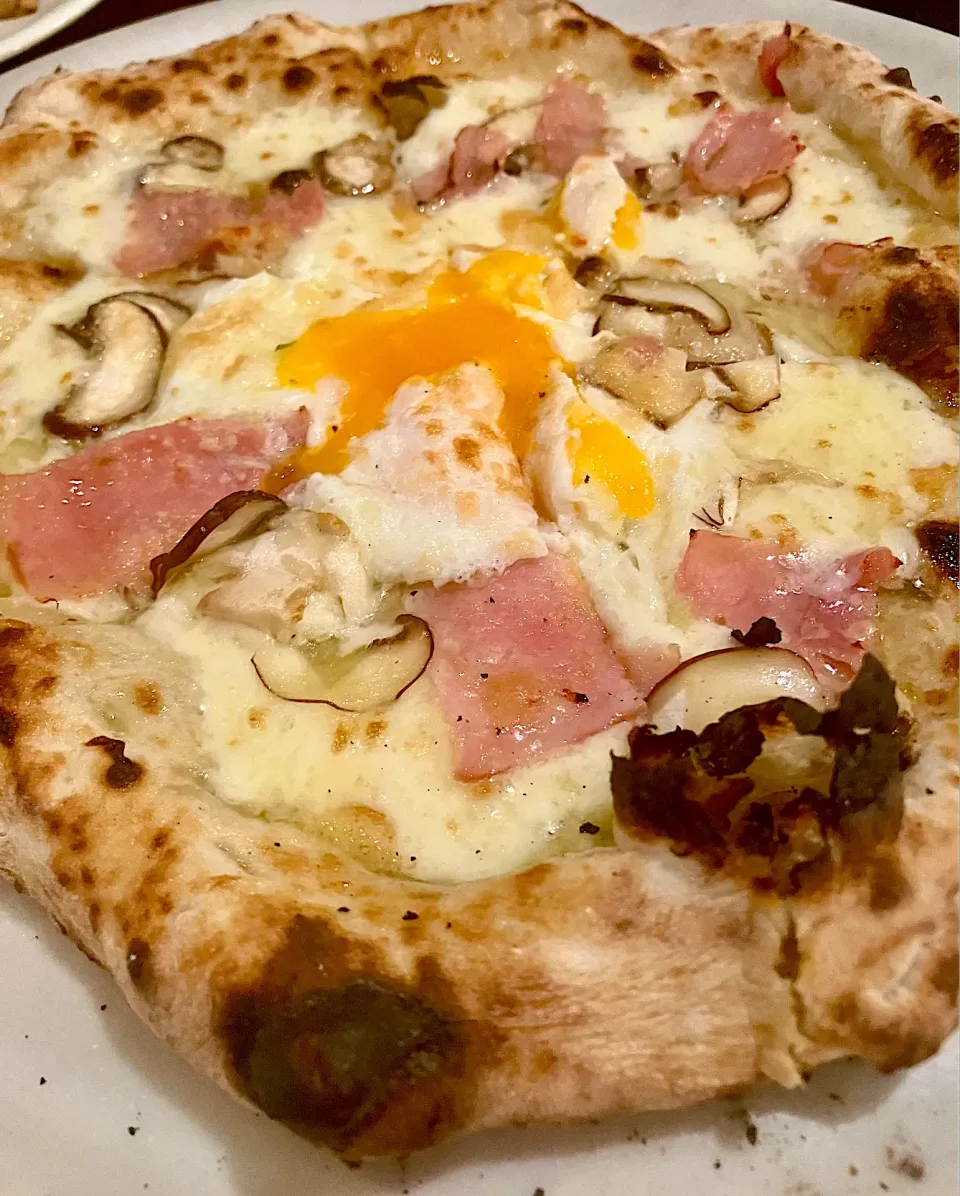 ビスマルク|ユキちゃんさん