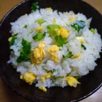 菜の花ご飯|さと♂さん