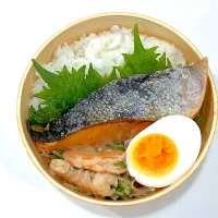 焼き鮭×BBA弁当|かなんさん