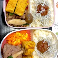 20260312娘と私の弁当|なかみほさん