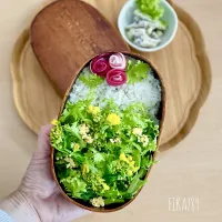 菜の花咲きました 弁当