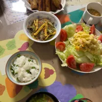 春巻き|ぬちょさん