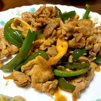 豚肉炒め|はっちぃさん