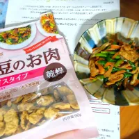 大豆のお肉使いなレバニラ風